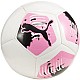 Futbalová lopta Puma Big Cat mini 084215 01