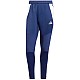 Tepláky adidas Tiro 24 WInterized M IY0114