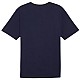 Tričko Puma Team Rise Logo Jersey Cotton M 658705 06