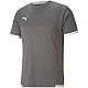 Tričko Puma teamLIGA Jersey M 704917 13