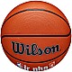 Wilson Jr NBA Logo Auth Outdoor WZ3011801XB6
