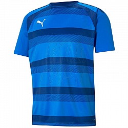 Tričko Puma teamVision Jersey M 704921 02