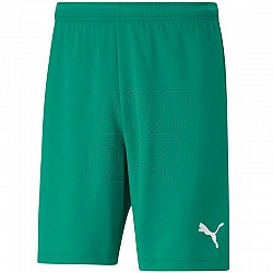 Trenky Puma teamRISE Short M 704942 05