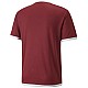 Tričko Puma teamLIGA Jersey M 704917 09