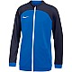 Nike Dri FIT Academy Pro Jr DH9283 463