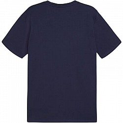Tričko Puma Team Goal Casuals Tee M 658615 06