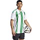 Tričko adidas Striped 24 JSY M IW2148