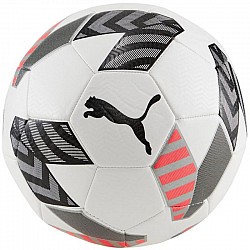Futbalová lopta Puma King Ball 83997 02