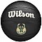 Wilson Team Tribute Milwaukee Bucks Mini Ball WZ4017606XB