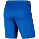 Trenky Nike Dry Park III NB M BV6855 463