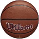 Lopta Wilson Team Alliance Cleveland Cavaliers Ball WTB3100XBCLE