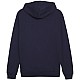 Puma Team Goal Casuals Hooded M 658595 06