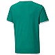 Tričko Puma teamLIGA Jersey Jr 704925 05