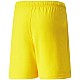 Trenky Puma teamRise Short Jr 704943 07