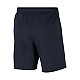 Trenky Nike Park 20 Fleece Junior CW6932-451