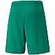 Trenky Puma teamRISE Short M 704942 05