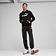 Puma ESS No.1 Logo Hoodie FL M 682570 01