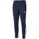 Tepláky Puma teamLiga Training Pants M 657242 06