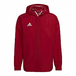 adidas Entrada 22 All-weather M HG6299