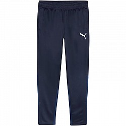 Tepláky Puma Team Goal Training M 658639 06