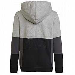 adidas Colourblock Hoodie Jr HN8563