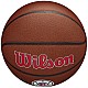 Lopta Wilson Team Alliance Los Angeles Clippers Ball WTB3100XBLAC