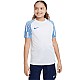 Tričko Nike Df Academy Jsy SS Jr DH8369 102