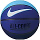Lopta Nike Everyday All Court 8P Ball N1004369-425
