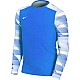 Tričko Nike Dry Park IV JSY LS GK Jr CJ6072-463
