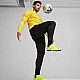 Tepláky Puma Team Goal Slim Training M 659037 03