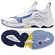 Mizuno WAVE MOMENTUM 3 V1GA231297
