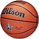 Wilson 2025 NBA All Star Replica Ball WZ2022601XB