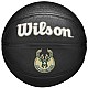 Wilson Team Tribute Milwaukee Bucks Mini Ball WZ4017606XB
