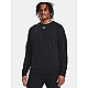 Under Armour Fleece Crew M 1379755-001