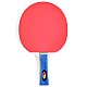 SMJ Faster 12201-1