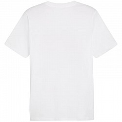 Tričko Puma Graphics Summer Sports Tee II M 627909 02