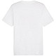 Tričko Puma Graphics Summer Sports Tee II M 627909 02