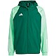 adidas Tiro 23 Competition All Weather M IC4570