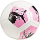 Futbalová lopta Puma Big Cat mini 084215 01
