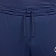 Tepláky Nike Dri-Fit Academy 25 M FZ9805 410