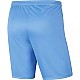 Trenky  Nike Dry Park III M BV6855-412
