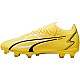 Puma Ultra Match FG/AG M 107347 04