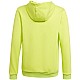 adidas Entrada 22 Hoody Jr HC5069