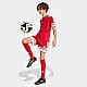 Trenky adidas Squadra 25 Jr JJ2416