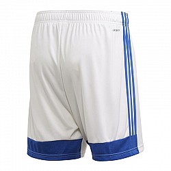 Trenky adidas Tastigo 19 Shorts M FI6355