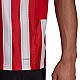 Tričko adidas Striped 21 Jersey M GN7624