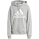 adidas Essentials Big Logo versized French Terry Hoodie W IC9865