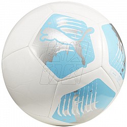 Futbalová lopta Puma Big Cat 84214 04