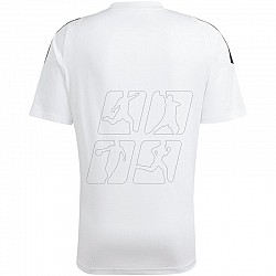 Tričko adidas Tiro 24 Jersey M IS1019