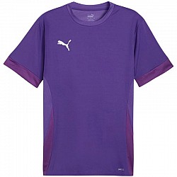 Tričko Puma teamGoal Matchday Jersey M 705747 10